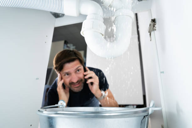 Best Sprinkler Systems  in Roland, AR